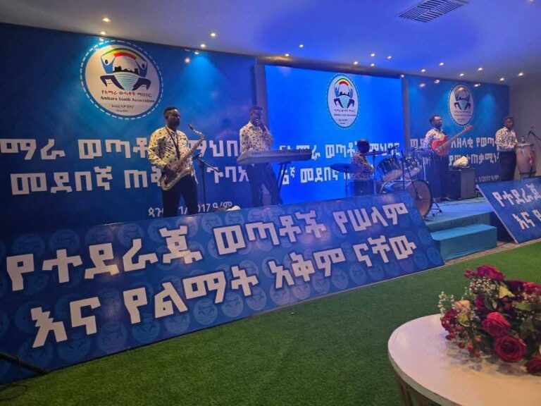 የተደራጁ ወጣቶች የሰላምና ልማት አቅም ናቸው።